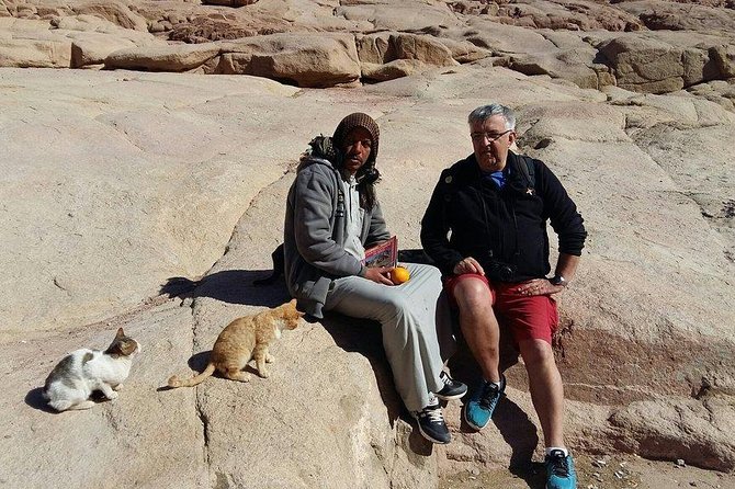 Overnight Trip to Saint Catherine Monastery from Cairo - The return to Cairo after the mountain