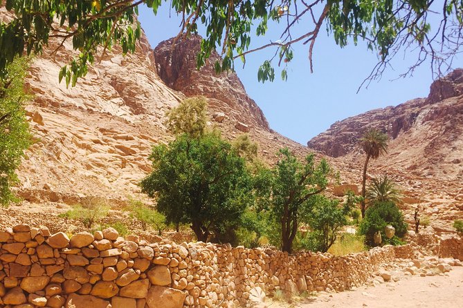 Overnight Trip to Saint Catherine Monastery from Cairo - What the guide and operator can change