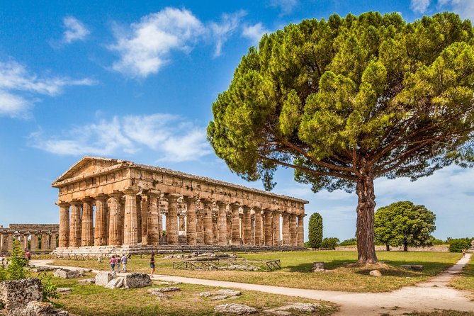 Paestum: Private Tour of Greek Temples and Archaeological Museum - Meeting at Via Magna Graecia 919