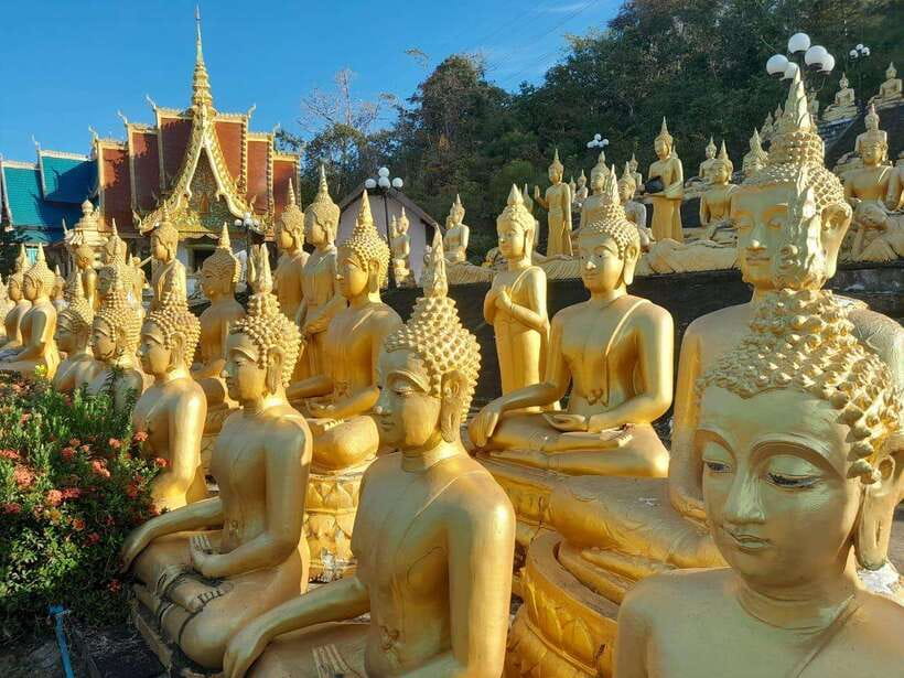 Pakse: Mystic Falls & Timeless Temples of Southern Laos Tour - What the $97 price really covers