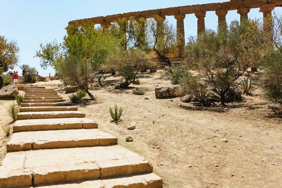 Palermo: Agrigento and the Valley of the Temples Day Tour - The drivers can shape the day