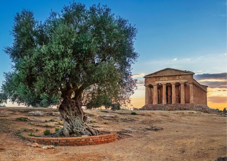 Palermo to Siracusa: stop al Valley of Temples & Roman Villa - Walking through Agrigento’s Valley of the Temples