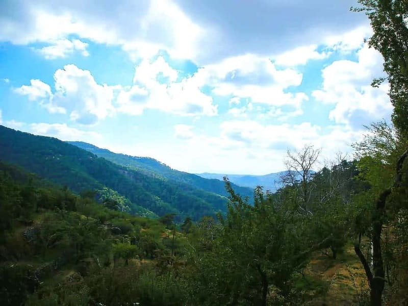 Paphos: Troodos, Omodos & Kykkos Monastery Full-Day Tour - Key points at a glance