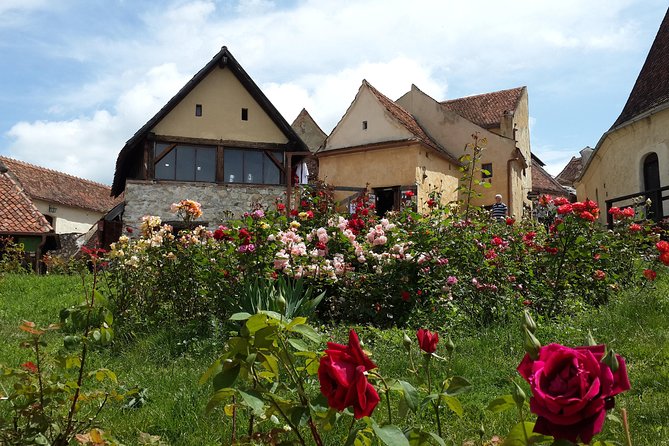 Peles Castle, Bran Castle, Rasnov Fortress and Sinaia Monastery Tour from Brasov - Leaving Brasov for Sinaia