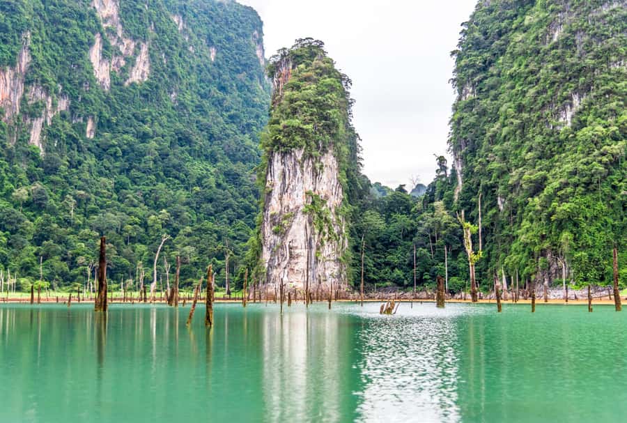 Phuket:Cheow Lan Lake & Kho-Sok,Bamboo Rafting,Monkey Temple - What the $164 price really covers
