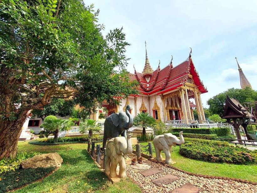 Phuket City Tour with Viewpoints, Temples & Elephant Feeding - Transport, timing, and guide quality