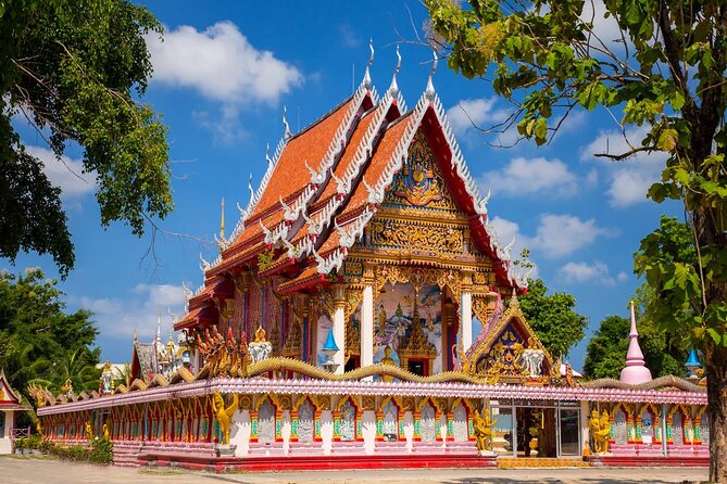 Phuket Giant Water Lilies & Temple Tour - Private & All-Inclusive - The photo package and its limits