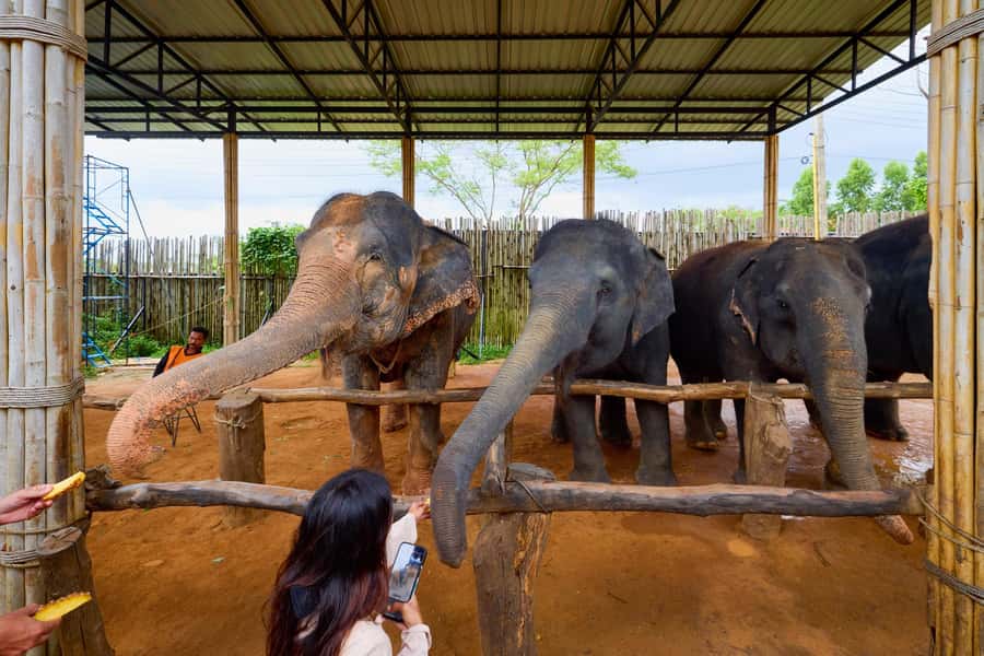 Phuket: Phuket Elephant Sanctuary, Wat Chalong & more - One quiet hour at Nai Harn Beach