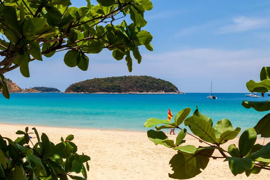 Phuket: Phuket Elephant Sanctuary, Wat Chalong & more - Who will enjoy this tour most