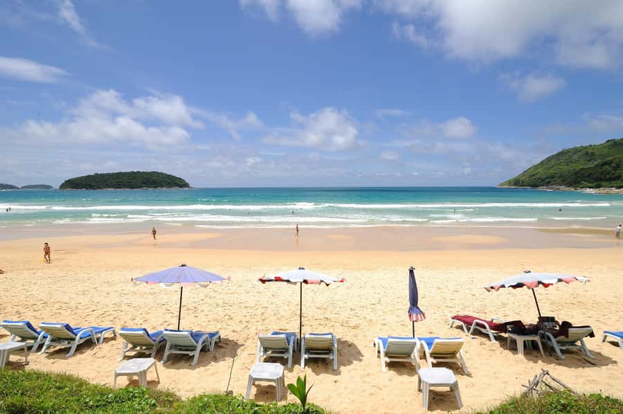 Phuket: Phuket Elephant Sanctuary, Wat Chalong & more - Should you book this Phuket day?