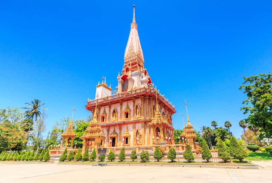 Phuket: Phuket Elephant Sanctuary, Wat Chalong & more - Three hours at the Elephant Jungle Sanctuary Phuket