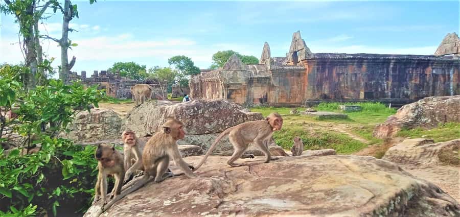 Preah Vihear Temple Koh Ker & BengMealea Tour from Siem Reap - Who should book this tour?