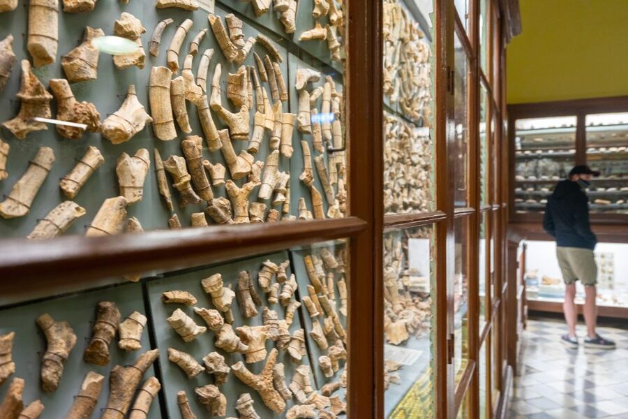 Prehistoric Temples of Malta Tour - Key points to know before you book