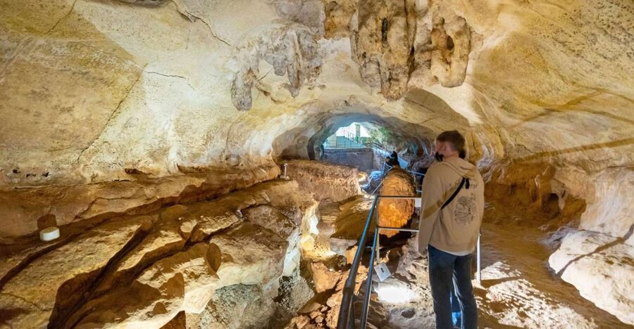 Prehistoric Temples of Malta Tour - Ghar Dalam Cave and Museum: small cave, useful context