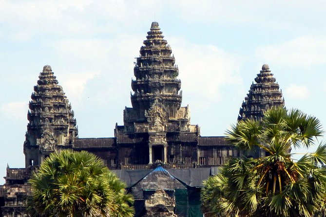 Private Angkor Wat Day Tour - Best of Angkor - Ta Prohm and the jungle setting