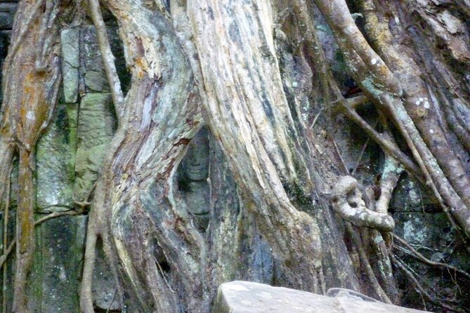 Private Angkor Wat Day Tour - Best of Angkor - How the private transport affects the day