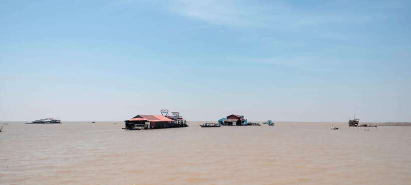 Private Angkor Wat Sunrise Tours And Sunset Floating Village - Ta Prohm and the power of the trees