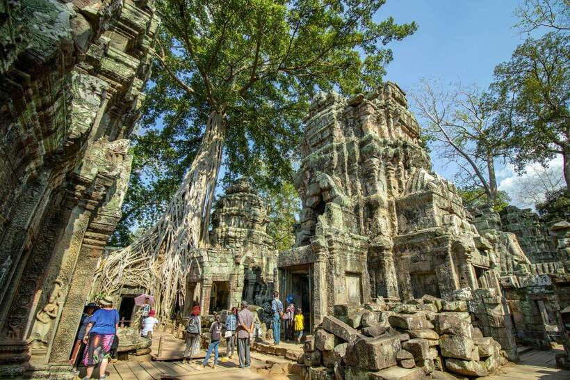 Private Angkor Wat Sunset Tour with Lunch and Snack Included - Ta Prohm, where the jungle takes over