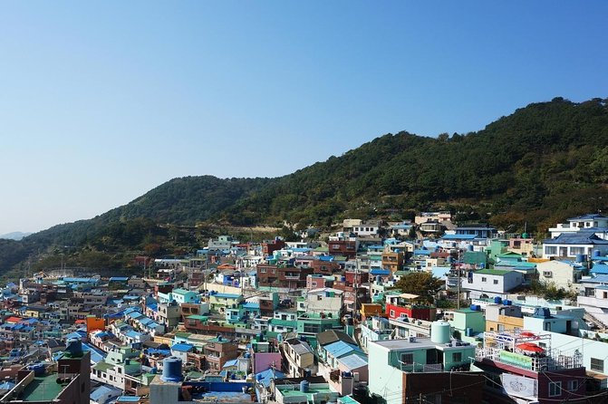 Private Busan tour with gamcheon culture village and the temple (Customizable) - The best reasons to choose this Busan day tour
