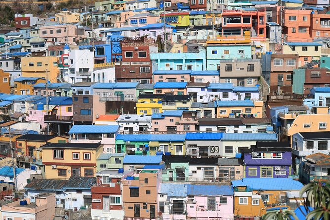 Private Busan tour with gamcheon culture village and the temple (Customizable) - What this private Busan tour is really designed to do