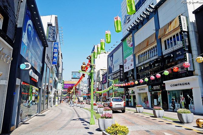 Private Busan tour with gamcheon culture village and the temple (Customizable) - Hwangnyeongsan Mountain for Busan’s big picture