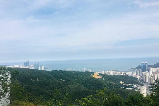 Private Busan tour with gamcheon culture village and the temple (Customizable) - Is $274 per person a fair price?