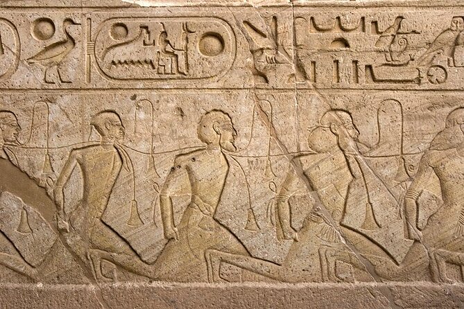 Private Day Tour to Abu Simbel Temples from Aswan - Private Tour - Guides, drivers, and the quality of the day