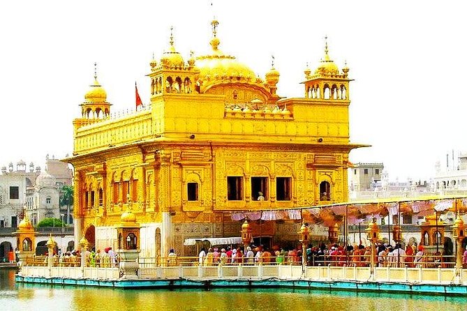 Private Full-Day City Tour of Amritsar visit Golden Temple with Wagah Border - Morning at the Golden Temple
