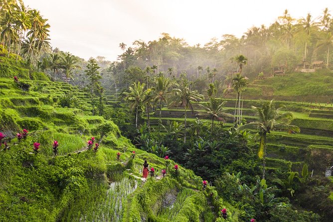 Private Full-Day Tour: Balinese Temples and Rice Terraces - Tirta Empul and the chance to receive a blessing