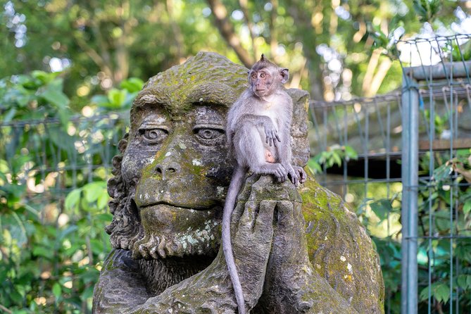 Private Full-Day Tour: Balinese Temples and Rice Terraces - Lunch above the jungle at D Alas Warung