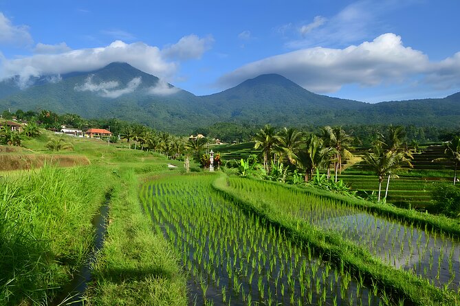 Private Full-Day Tour: Ulun Danu Beratan Temple, Jatiluwih and Tanah Lot Temple - Ulun Danu Beratan and the cool highlands