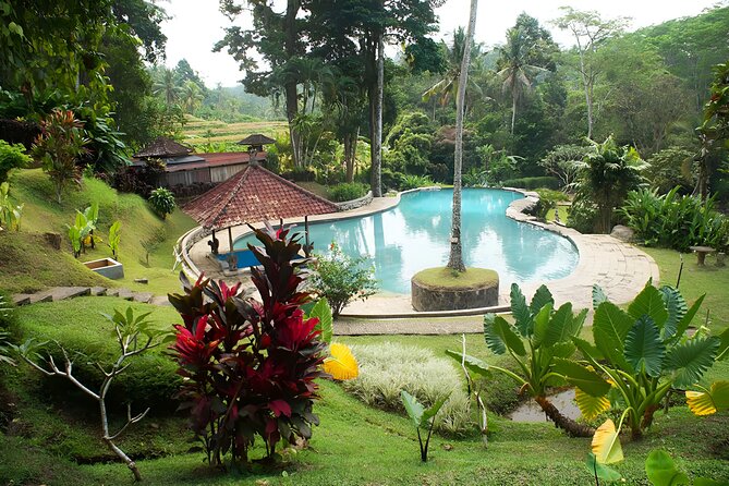 Private Full-Day Tour: Ulun Danu Beratan Temple, Jatiluwih and Tanah Lot Temple - Coffee, beekeeping, and the limits of a plantation stop