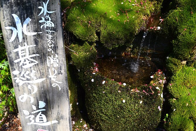 Private guided tour: Mt. Aso volcano, grasslands, Aso Shrine - Monzenmachi and the Akaushi beef lunch
