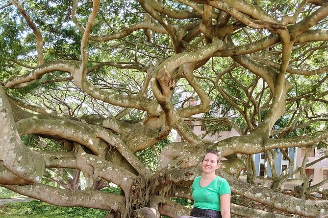 Private Kandy City Tour: Temple of the Tooth & Lake Highlights - Royal Botanical Gardens, one hour among major plant collections