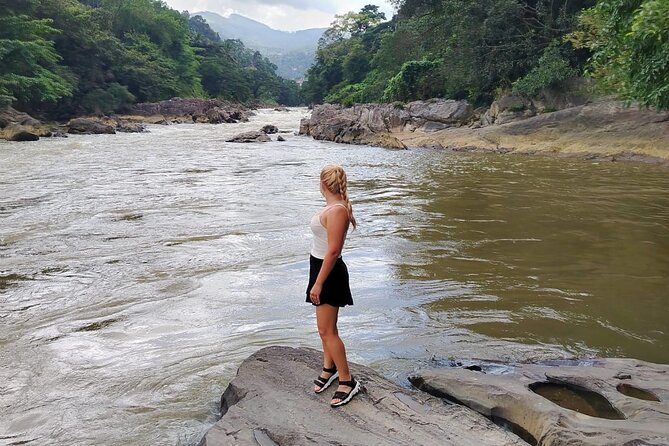 Private Kandy City Tour: Temple of the Tooth & Lake Highlights - Nelligala International Buddhist Centre and the 45-minute view