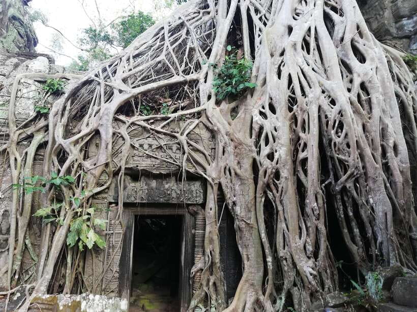 Private Sunrise Angkor Wat Tour - Key points to know before you book