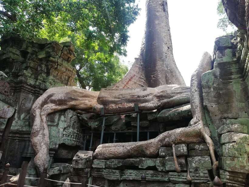 Private Sunrise Angkor Wat Tour - Guide quality and language concerns