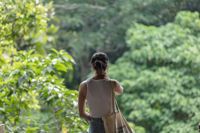 Private Tour : Bali Best Waterfalls, Temples and Monkey Forest - Lunch in Ubud, With No Fixed Restaurant