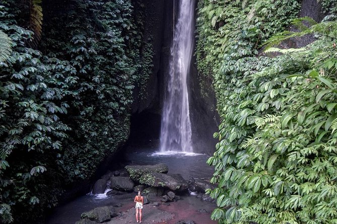 Private Tour: Leke-Leke Waterfall, Handara gate & Iconic Temples - Why the private car changes the value