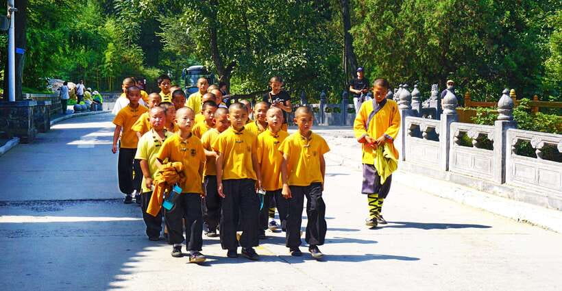 Private Tour: Longmen Grottoes, Shaolin Temple & Kungfu Show - The day’s key points