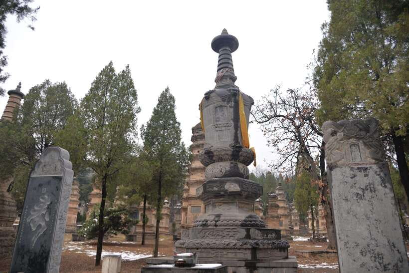 Private Tour: Longmen Grottoes, Shaolin Temple & Kungfu Show - Final advice on the $158 price