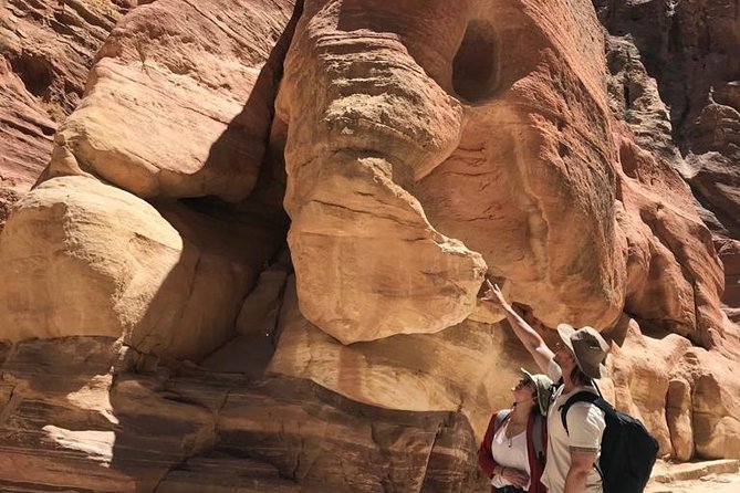 Private Tour Petra with Monastery El Deir and lunch - What the private guide adds