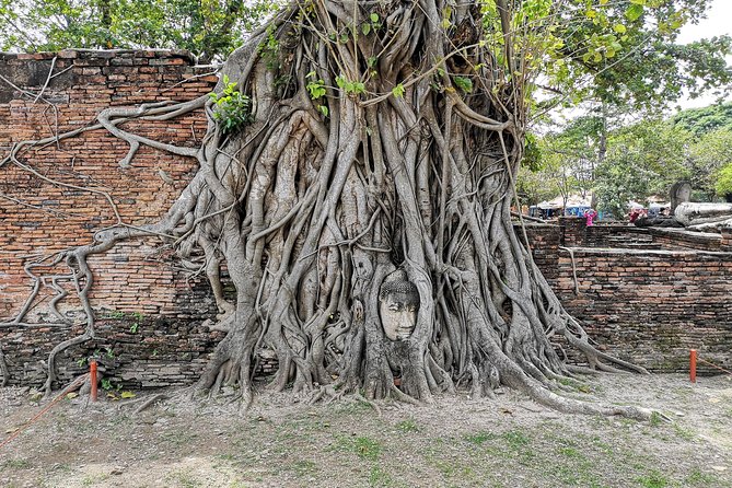 Private tour to Ayutthaya and Lopburi Monkey Temple (from Bangkok) - Is $200.20 Per Person a Fair Price?