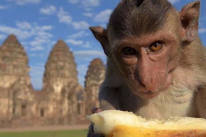 Private tour to Ayutthaya and Lopburi Monkey Temple (from Bangkok) - Who Should Book This Experience?