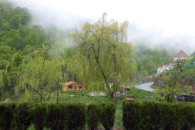 Private Tour: Tsaghkadzor, Sevan lake,Sevanavank, Dilijan, Haghartsin monastery - Food, tickets, and practical planning
