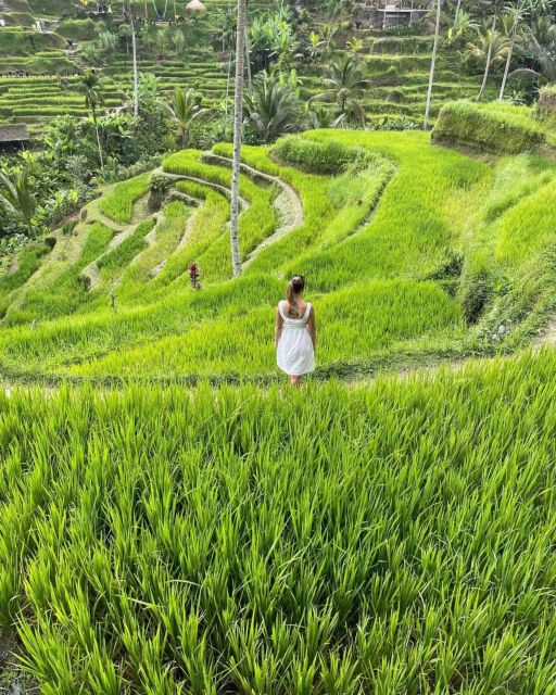 Private ubud tour Rice teracce, temple & Secret waterfall - Why this Ubud day tour is useful