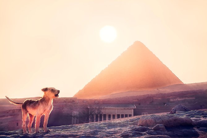 Pyramids of Giza & Sphinx & valley temple Tour with Camel Ride & Egyptian lunch - Why this four-hour Giza tour works