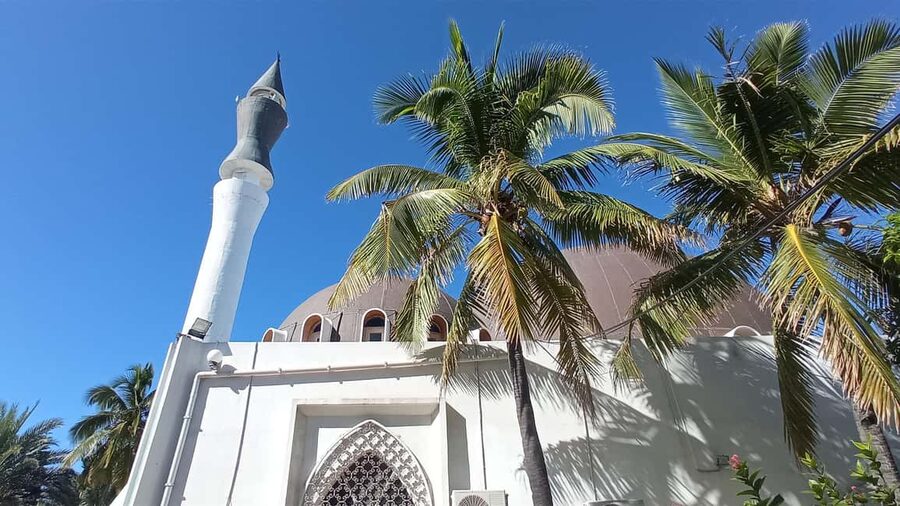Réunion Island: Temples and religions Half-day tour - Pickup across Réunion and the value of a private van