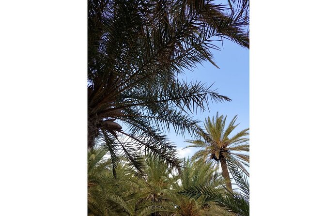RIVIERA - Vai Palm Beach, Toplou Monastery - The sunset stop at Platanos