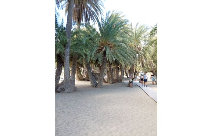 RIVIERA - Vai Palm Beach, Toplou Monastery - Who will enjoy this outing most?